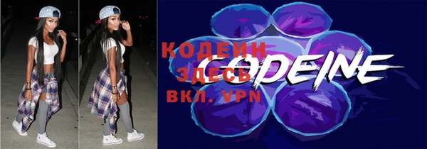 молекула духа Киреевск