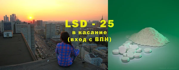 прущие грибы Карталы