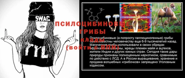 прущие грибы Карталы