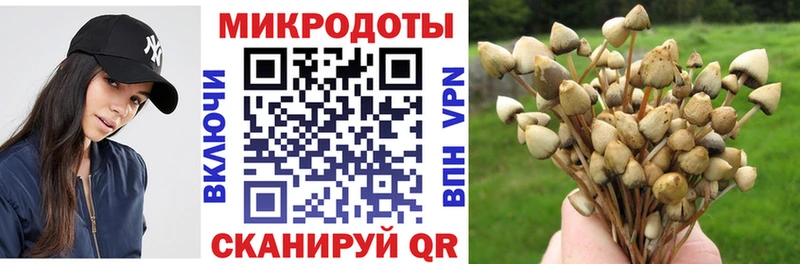 Купить закладки  Воткинск  Псилоцибиновые грибы Psilocybe 